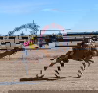 Bedourie Camel and Pig Races and Camp oven Cook-off - Getaway Accommodation