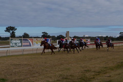 Corowa Horseraces - Getaway Accommodation 0