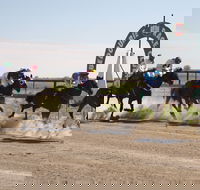 Bedourie Races and Rodeo - Getaway Accommodation