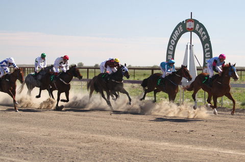 Bedourie Races And Rodeo - Getaway Accommodation 0