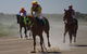 Bedourie Races And Rodeo - thumb 2