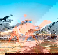 Boulia Camel Races - Getaway Accommodation