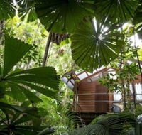 Daintree Wilderness Lodge - Getaway Accommodation