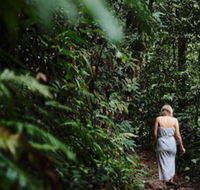 Daintree Ecolodge - Getaway Accommodation