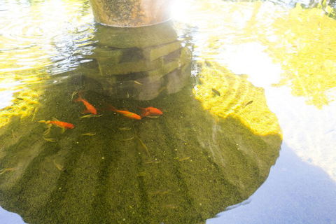 Iluka Motel - Getaway Accommodation 7