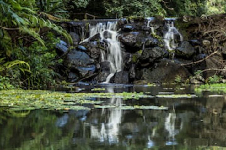 Sunshine Coast Hinterland QLD Getaway Accommodation