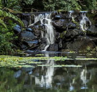 Kondalilla Eco Resort - Getaway Accommodation