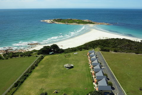 Diamond Island Resort & Bicheno Penguin Show - Getaway Accommodation 0