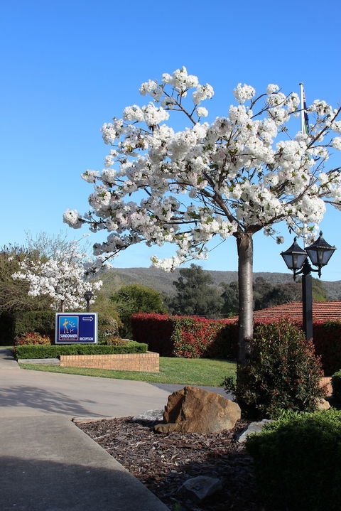 Hume Country Motor Inn - Getaway Accommodation 0