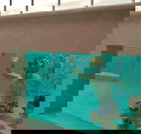 Novotel Brisbane Airport - Getaway Accommodation