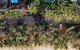 Melaleuca Resort - thumb 1