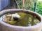 Hope Cottage Country Retreat - Getaway Accommodation 4