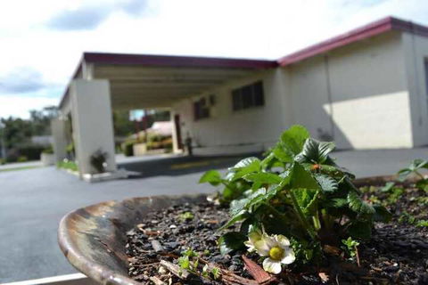 Wattle Motel - Getaway Accommodation 2