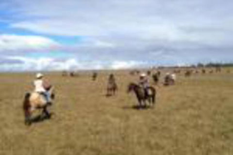 Susan River Homestead - Getaway Accommodation 0