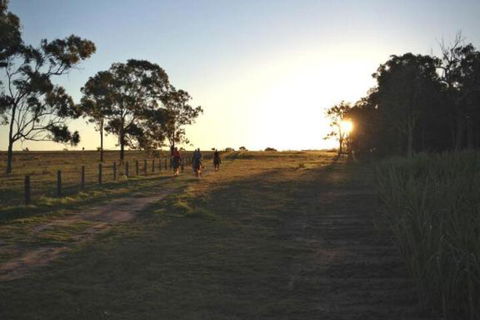 Susan River Homestead - Getaway Accommodation 2