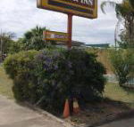 Golden West Motor Inn - Getaway Accommodation