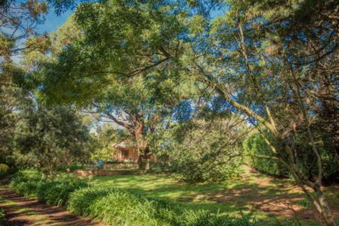 Secluded Homestead Amongst The Trees - Getaway Accommodation 6