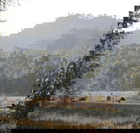 Dacelo - Getaway Accommodation