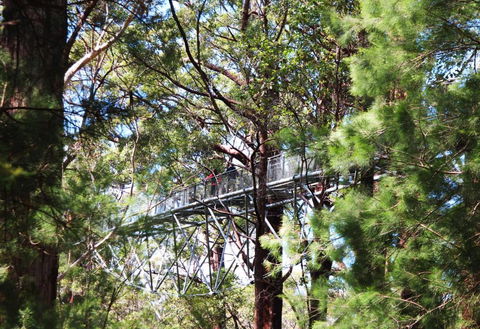 Nornalup Riverside Chalets - Getaway Accommodation 5