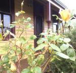 Albion Cottage - Getaway Accommodation