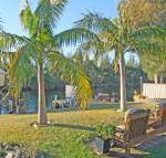 The Oasis on Jacobs Drive - Getaway Accommodation