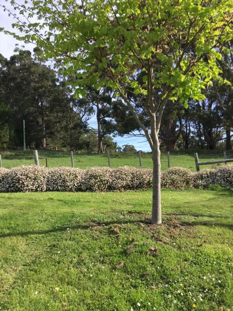 Nextdooratportarthur - Getaway Accommodation 3
