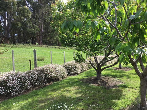 Nextdooratportarthur - Getaway Accommodation 1