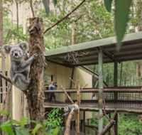 Springwood Meditation Vacation Center - Getaway Accommodation