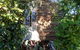 Rain Forest Gem - thumb 0