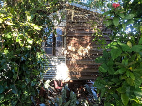 Rain Forest Gem - Getaway Accommodation 0