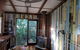 Rain Forest Gem - thumb 5
