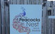The Peacocks Nest - thumb 1