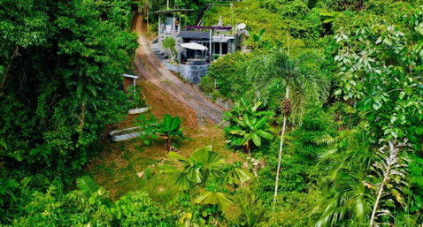 Earthship Daintree - Getaway Accommodation 6