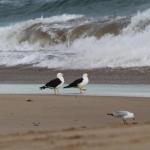 Baillieu Breeze - Getaway Accommodation 0