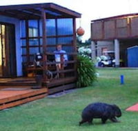 BIG4 Kelso Sands Holiday Park - Getaway Accommodation