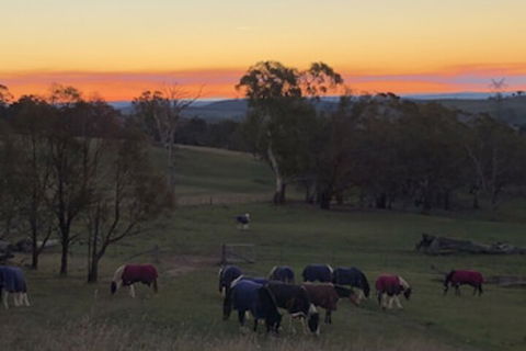 High Country Trail Rides & Farm Stay - Getaway Accommodation 0