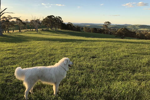 High Country Trail Rides & Farm Stay - Getaway Accommodation 1