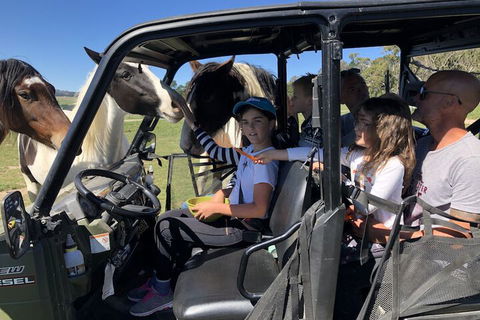 High Country Trail Rides & Farm Stay - Getaway Accommodation 4