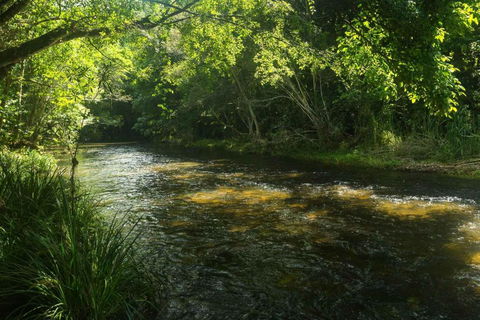 Cairns Homestead Acreage Pet & Family Friendly - Getaway Accommodation 2