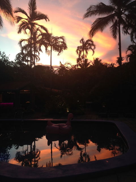 Pink Flamingo Resort - Getaway Accommodation 6