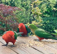 Crimson Villa - Getaway Accommodation