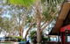 Turtle Cove Beach Resort Adults Only LGBTQIA & Allies - thumb 0