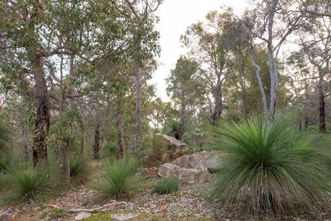 A Hidden Bush Delight - Getaway Accommodation 6