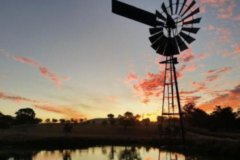 Milford Country Cottages - Getaway Accommodation 3