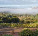 Pecan Hill BNB - Getaway Accommodation