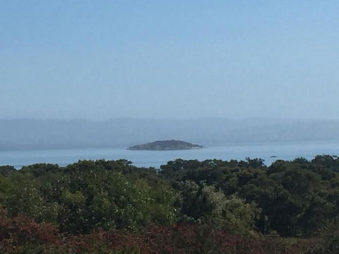 Tidal Dreaming Seaview Cottages - Getaway Accommodation 4