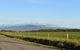 Tidal Dreaming Seaview Cottages - thumb 3