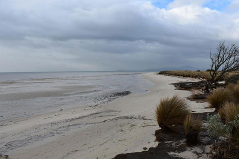 Tidal Dreaming Seaview Cottages - Getaway Accommodation 6
