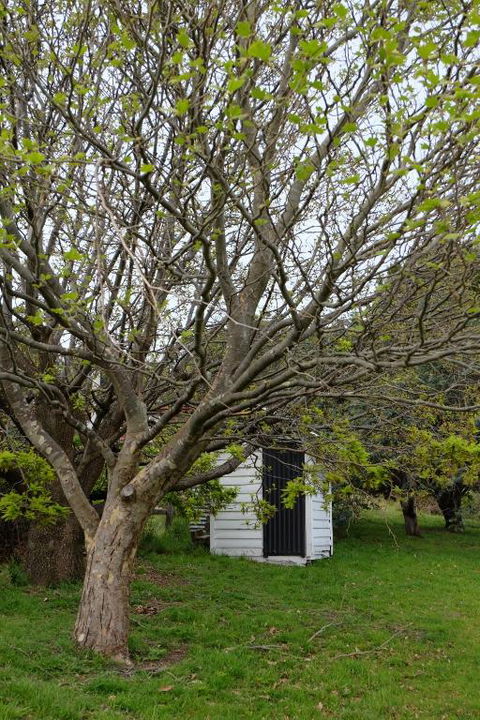 Blossoms On The Bay Nubeena - Getaway Accommodation 2