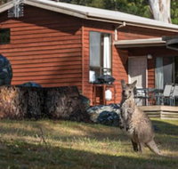 Wonderland Cottages - Getaway Accommodation